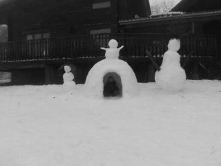 Snow-covered chalet in Les Deux Alpes